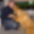 Profilbild von Sandro Lenhardt
