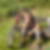 Profilbild von Thorsten Brieskorn