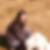 Profilbild von Karine Wessing-Leleux