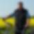 Profilbild von Peter Fiedler