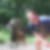 Profilbild von Bruno Wegner