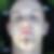Profilbild von Ludovic Fischer