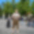 Profilbild von Martin Weidinger