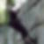 Profilbild von Uwe Pigors