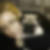 Profilbild von Silvia Tabert