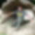 Profilbild von Thomas Henze