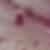 Profilbild von Detlef Warmuth