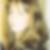 Profilbild von Cornelia Schiffer