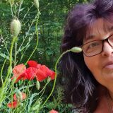 Profilfoto von Birgit Krüger