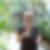 Profilbild von Margot Frings