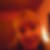 Profilbild von Sabrina Köhler