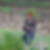 Profilbild von Gabriele Krause