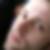 Profilbild von Martin Manthe