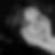 Profilbild von Sylvia Godow