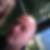 Profilbild von Dirk Stihl