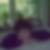 Profilbild von Angela Dittrich