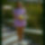 Profilbild von Birte Arndt