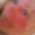 Profilbild von Astrid Ender