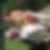 Profilbild von Annette Hartfuss