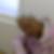 Profilbild von Linda Radecke