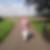Profilbild von Birgit Reckling