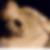 Profilbild von Sascha Tack