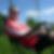 Profilbild von Dirk Voigt