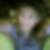 Profilbild von Stefanie Janocha