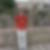 Profilbild von Thorsten Roemer