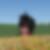 Profilbild von Ines Meißner (Heft)