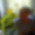 Profilbild von Susanne Wolni