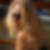 Profilbild von Stefanie Uecker