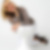 Profilbild von Micaela Halboth