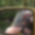 Profilbild von Gundula Schulze-Chmieleffski