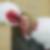 Profilbild von Marcel Förster