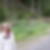 Profilbild von Margit Fulst