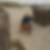 Profilbild von Cordula Rink