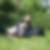 Profilbild von Sandra Wilde