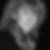 Profilbild von Birgit Kuhlmann