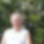 Profilbild von Peter Griebel