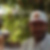 Profilbild von Antonio Manzano