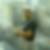 Profilbild von Pierre Wallstab