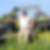 Profilbild von Alwin Hontheim