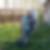 Profilbild von Gregor Wiesinger