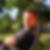 Profilbild von Jens Wagner
