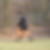 Profilbild von Andrea Remsing