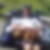 Profilbild von Martin Gottlob