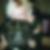 Profilbild von Sandra Fischer