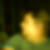 Profilbild von Daniel Blut