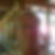 Profilbild von Stephan Hooge